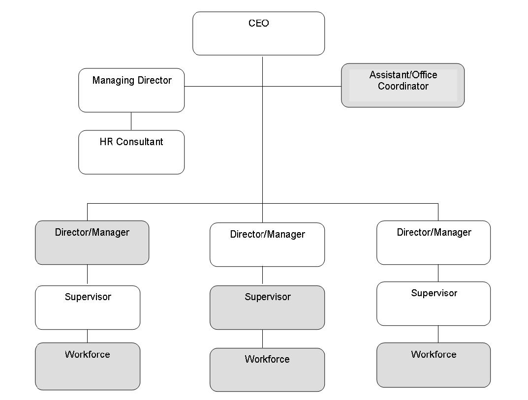 organogram